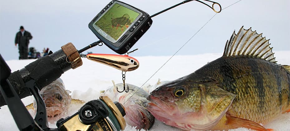 бюджетные видеокамеры для рыбалки