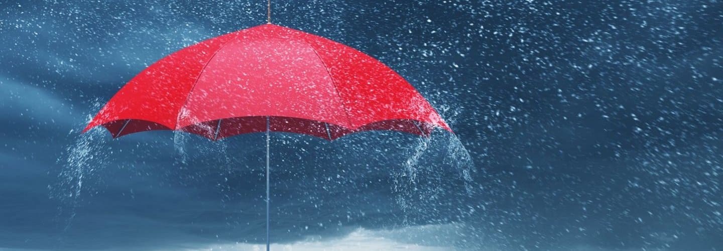 Рейтинг женских зонтов от дождя 2020 года: какой лучше выбрать